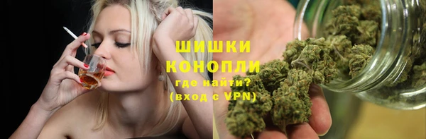индика Заводоуковск