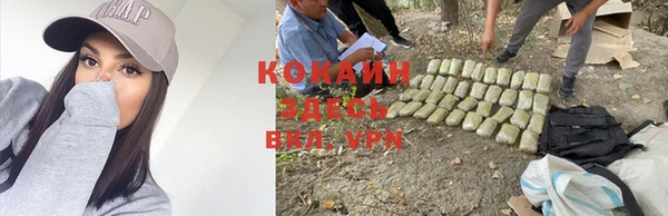 бошки Абинск